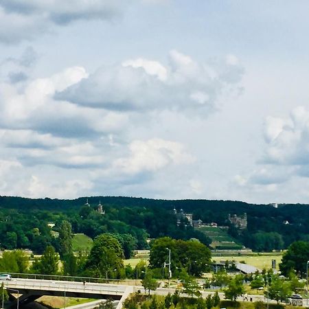 Panoramablick Auf Elbe Und Schlosser Dresda Esterno foto