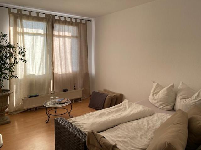 Panoramablick Auf Elbe Und Schlosser Dresda Esterno foto