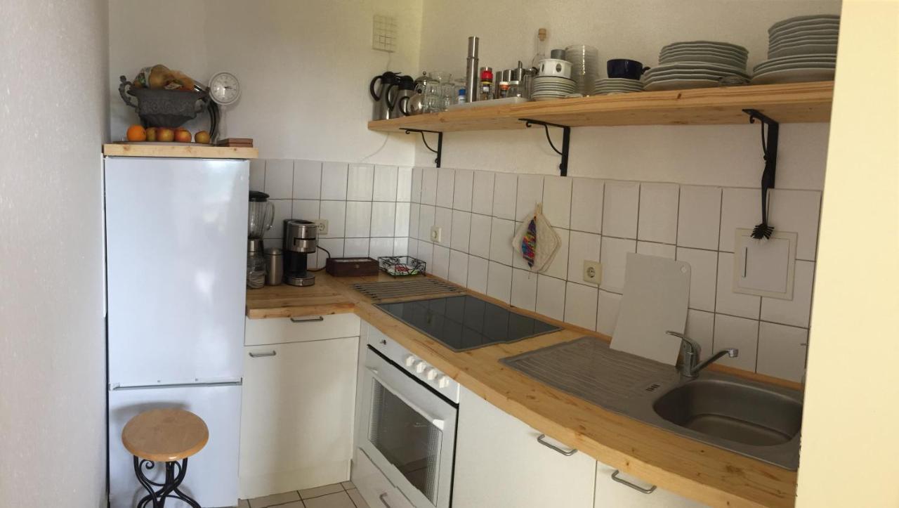 Panoramablick Auf Elbe Und Schlosser Dresda Esterno foto